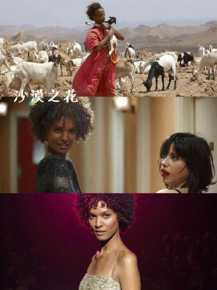 谷原希美的爱情电影生涯