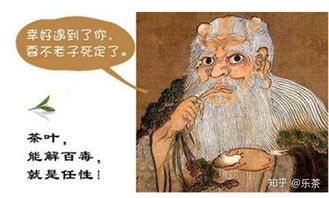 达达兔的起源与发展