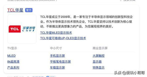 选择电视电影网站的标准