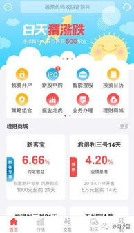 飘花网的用户友好界面