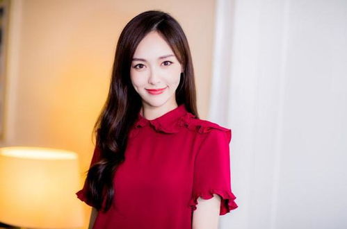 小早川怜子的演艺生涯