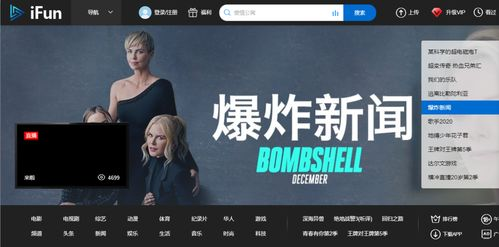 海外华人电影网的类型与特点