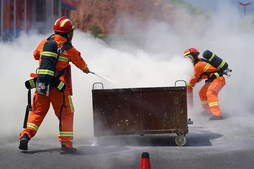 成人福利电影网站的技术与安全问题