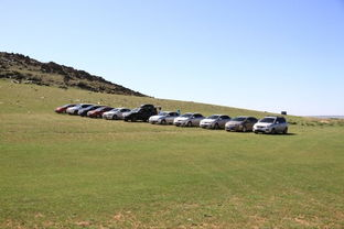 青青草原电影网简介