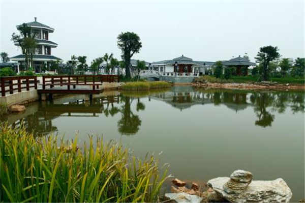 BT6080电影网简介