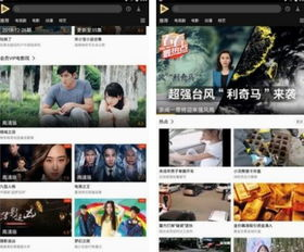 蜜瓜午夜理论电影网概述