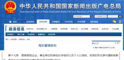 校园电影网的兴起与发展