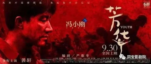 二九电影网简介