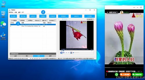 下载速度优化：提高下载效率
