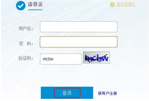 1. 网站选择标准