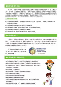 2. 网站内容多样性