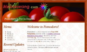 番茄电影网页概述