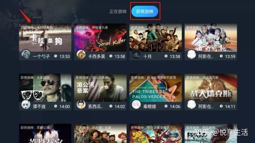 全球电影网提供的服务与功能