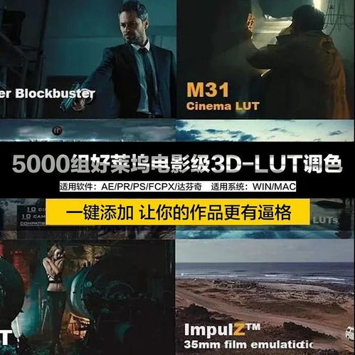 九七理论电影网的更新速度