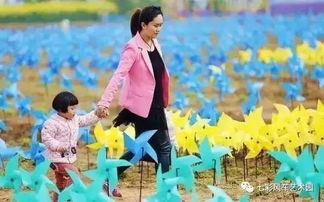 风车电影网的优势