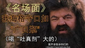 如何高效利用1895电影网