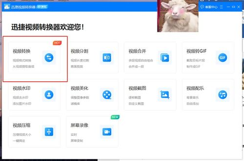MP4下载电影网站的用户体验