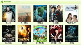 嗨嗨电影网的资源种类