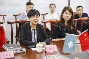 澳门电影网站对本土电影产业的推动