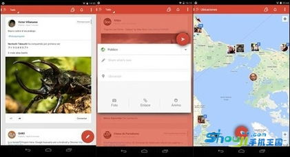 5. 网站界面与操作体验