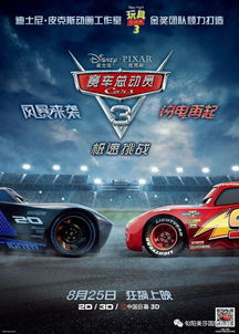 抢先电影网站概述