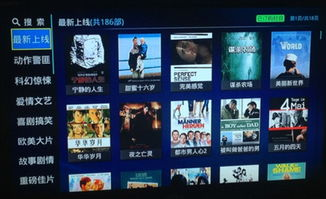 国宝电影网的流畅播放体验