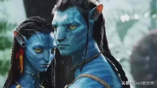 阿凡达电影网简介