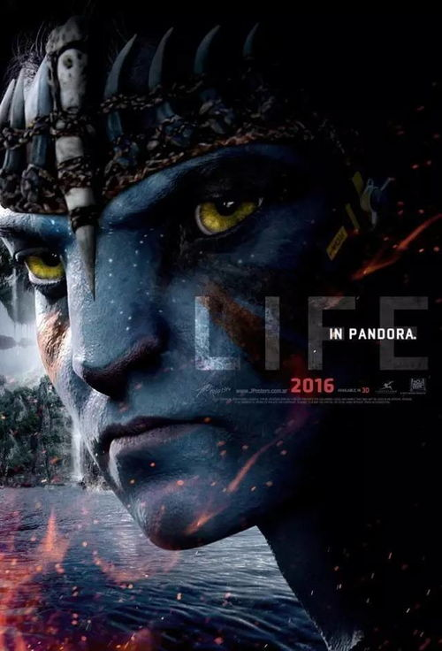 阿凡达电影网的更新速度