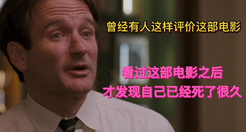 电影推荐与评论