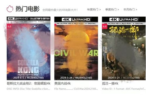 4K电影网站简介