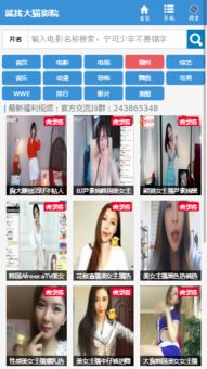 搜猫电影网简介