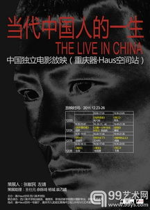 4. 网站C：独立电影资源