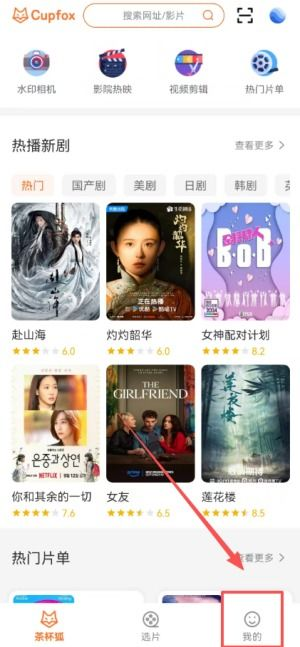 如何使用茶杯狐电影网站