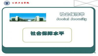 社保的基本概念与作用