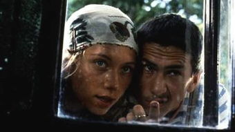 爱情电影网的版权问题