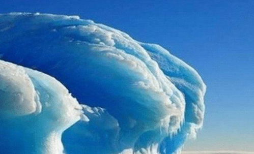 APDY神雪的优势分析