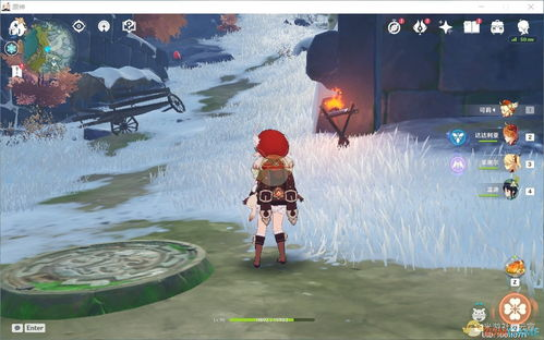 如何使用APDY神雪