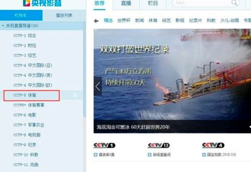 国产电影视频网站概述