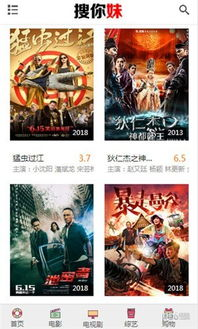 搜你妹电影网简介