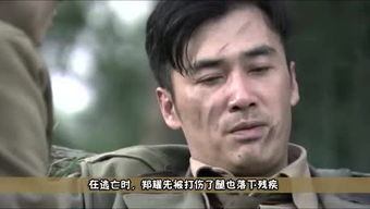 老七电影网简介