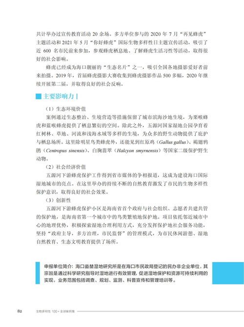 内容多样性与版权问题