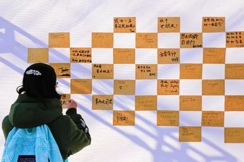 内容丰富与多样性