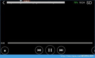 先锋影音平台概述