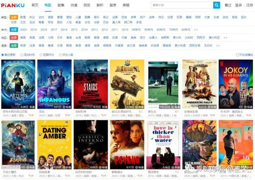 9电影网的资源库