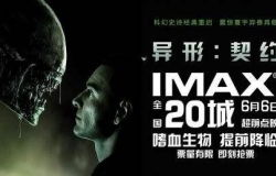 181电影网的优势