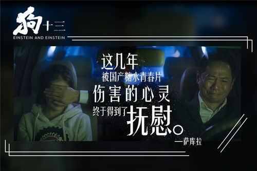 电影评论与互动