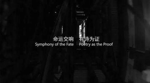 日韩电影的魅力与特点