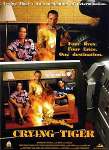 四虎免费电影网概述