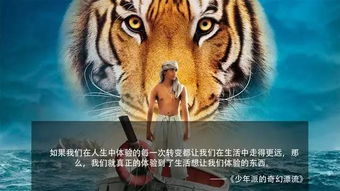 四虎免费电影网的版权问题