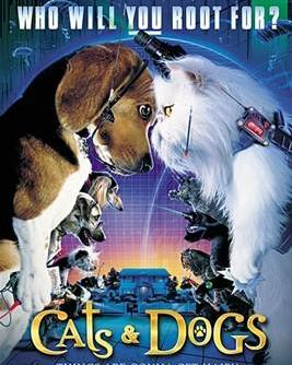 猫狗电影网的用户互动